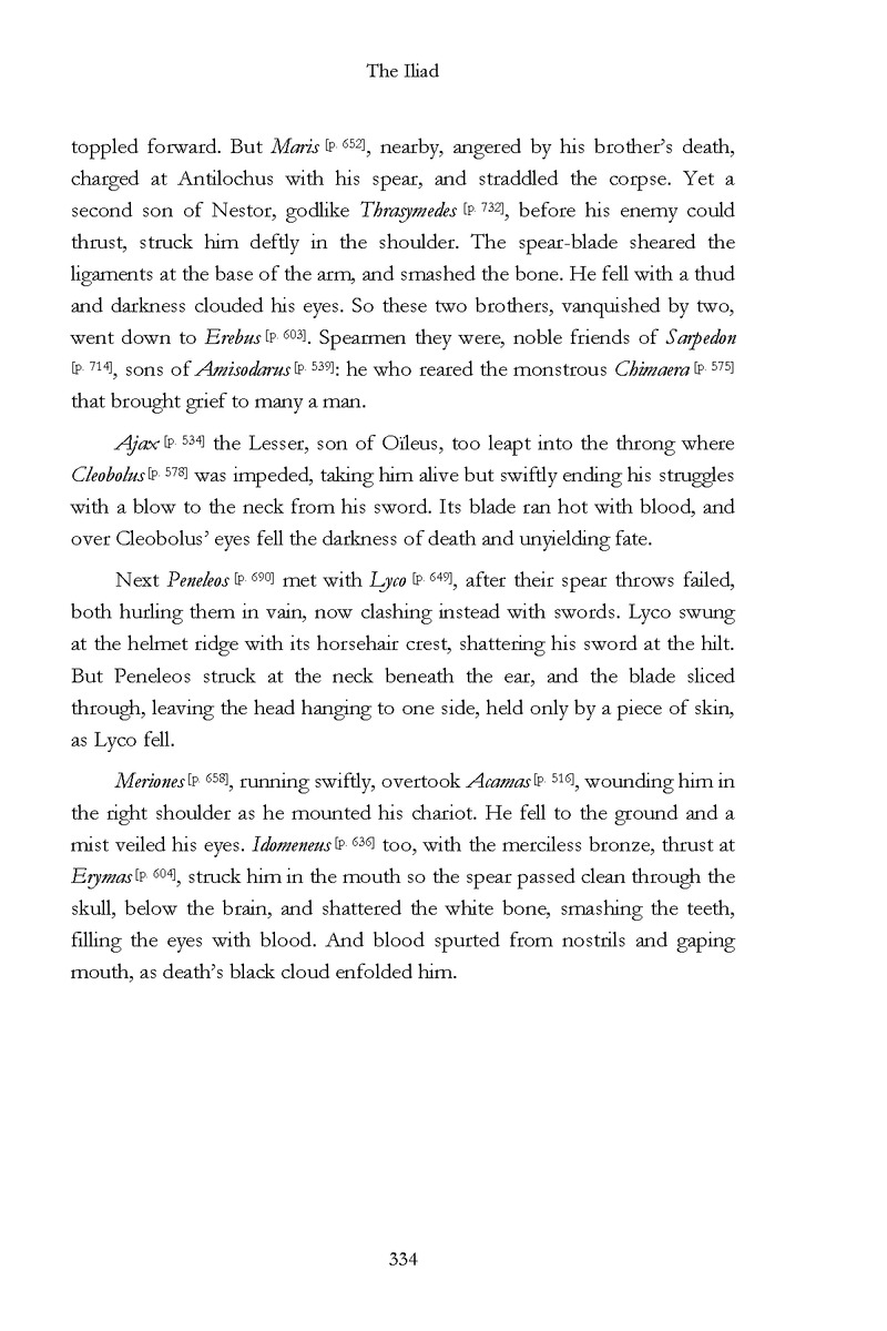 The Iliad - Page 328